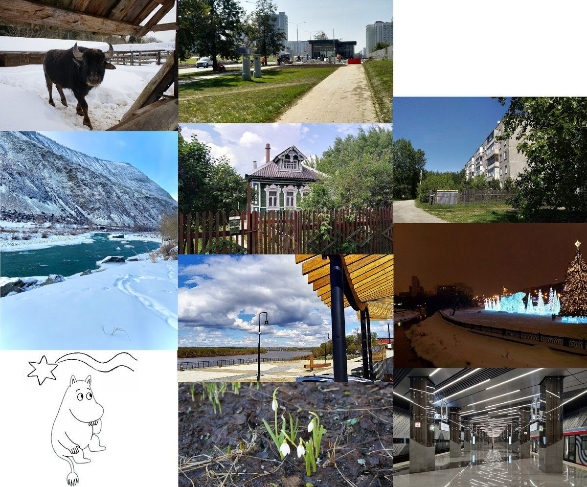 Обложки 10 самых популярных публикаций на канале за 2024 год, изображение автора
