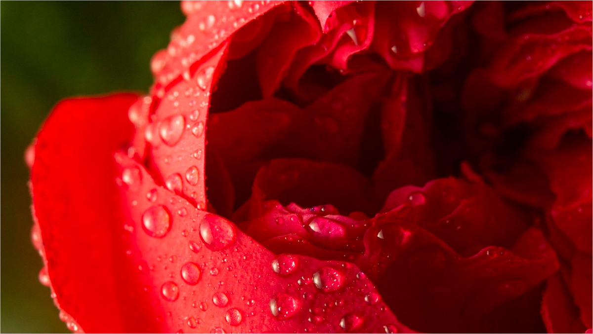 Фото: www.freepik.com