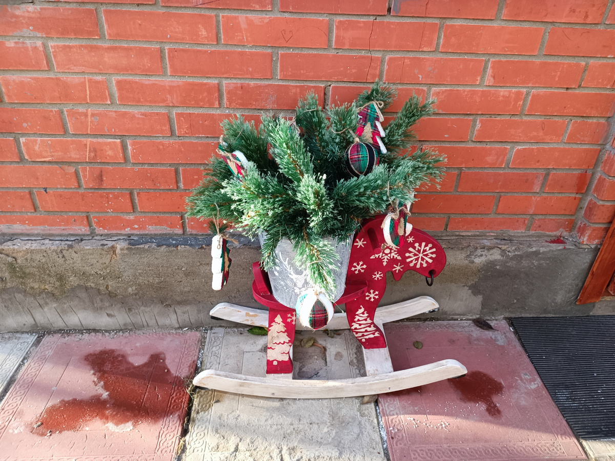 Мороз и солнце - день был бы чудесным, если б ни полное отсутствие снега