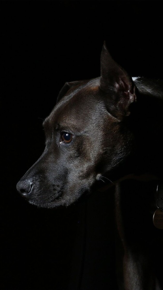 Фото из Pintrest