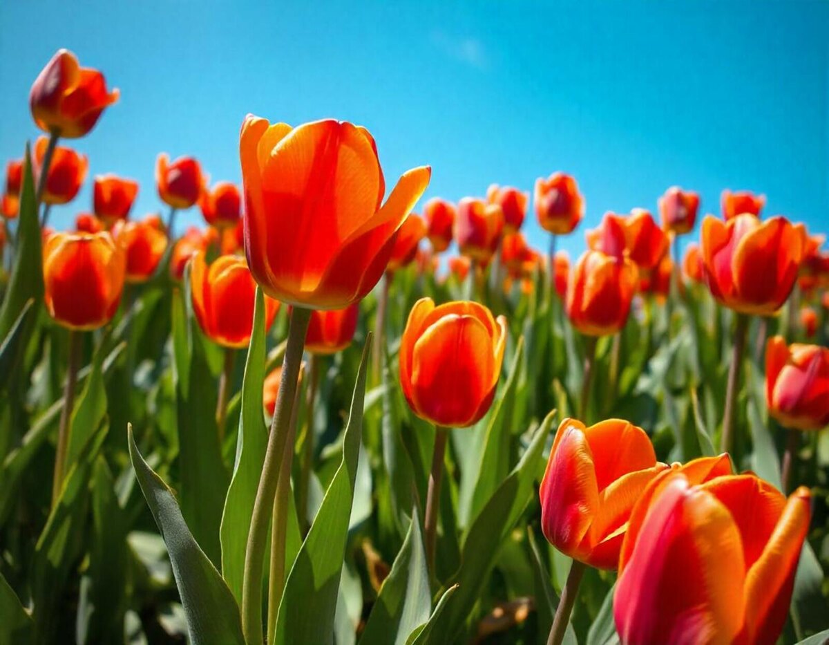 Изображение сгенерировано нейросетью