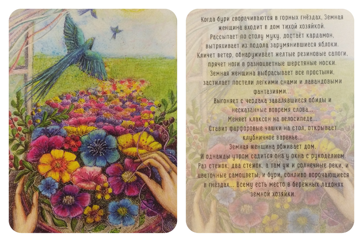 Фото открыток автора 