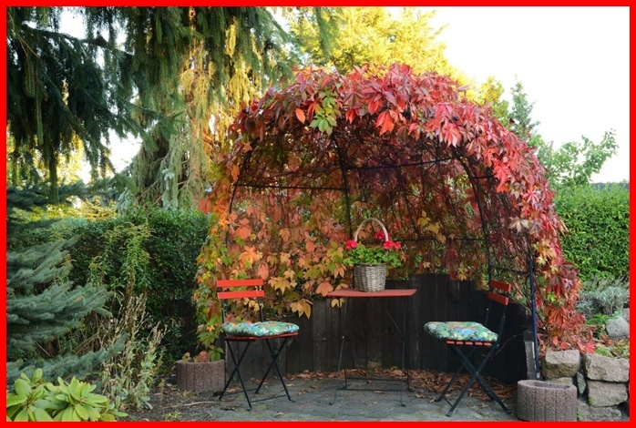 В небольшой уютной беседке, обвитой диким виноградом совершенно немыслимых цветов листьев они иногда отдыхали после обеда в середине прогулки.