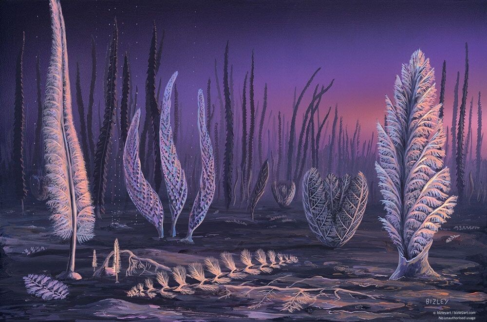 Вот такими они были вероятно в реальной жизни.