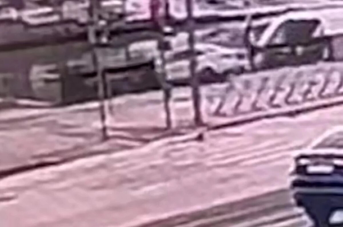    Shot: водитель погиб при падении иномарки в Москву-реку