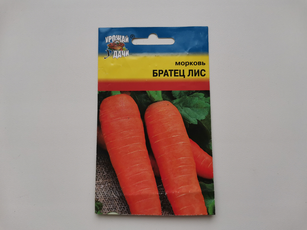 Морковь Братец лис, Урожай удачи
