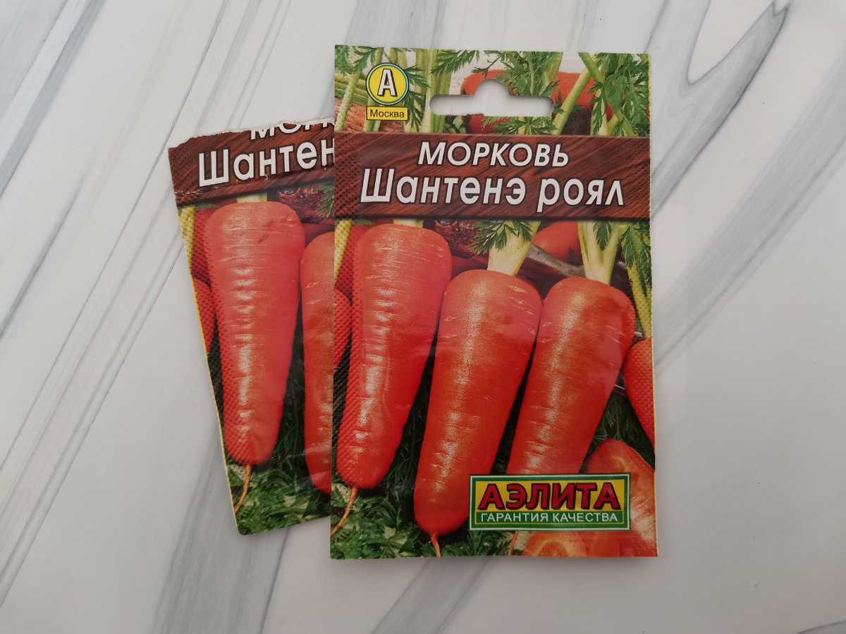 Морковь Шантанэ роял, Аэлита