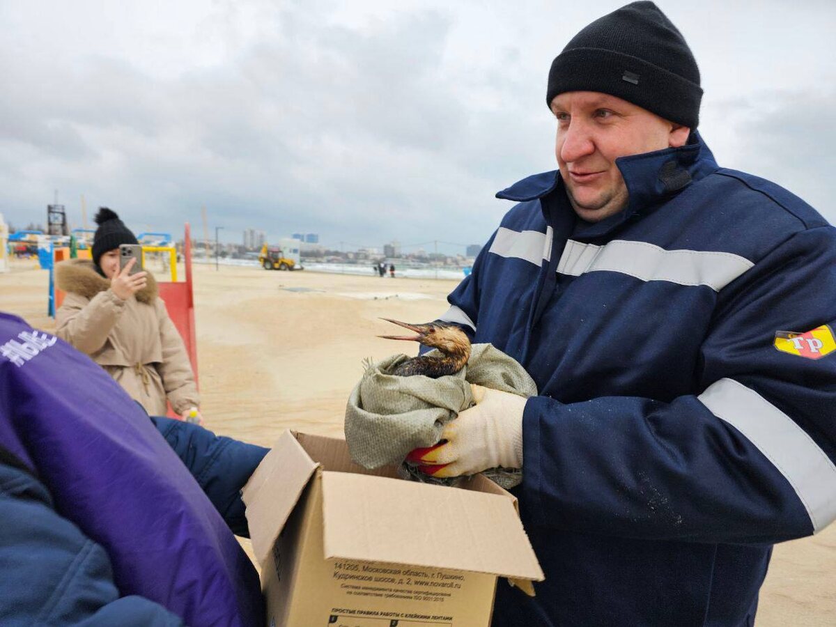 Telegram-канал Координационного центра по ликвидации ЧС