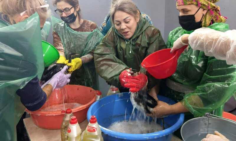    Фото Юлии Симатовой, «Кубань 24»