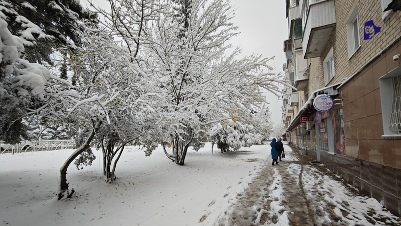      Фото: Дмитрий Ахмадуллин / / ИА «Победа26»
