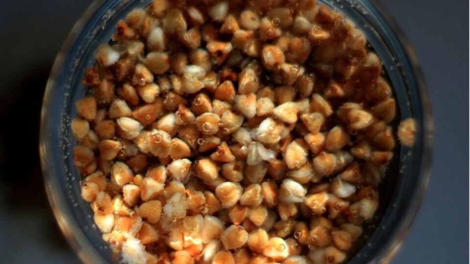    Гречка. Крупа. Банка. Источник: pixabay.com