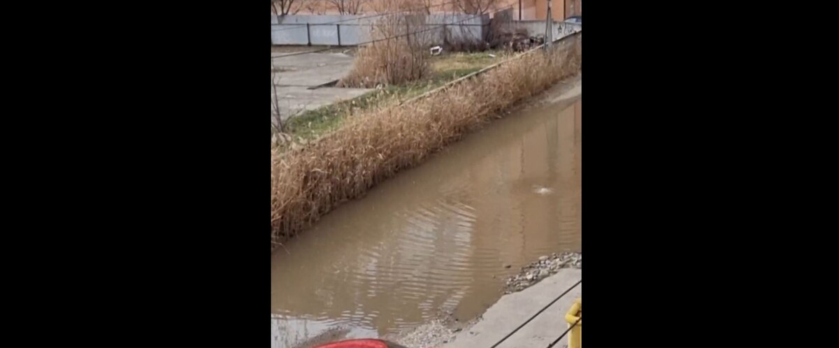 Фото: скриншот видео