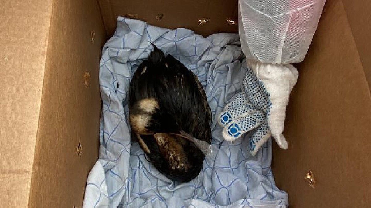    Фото: телеканал «Краснодар»