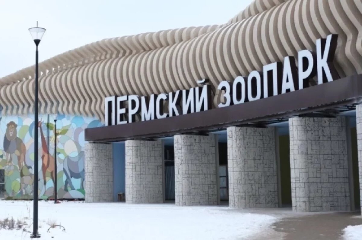    Комплекс строят по улице Архитектора Свиязева, 17в