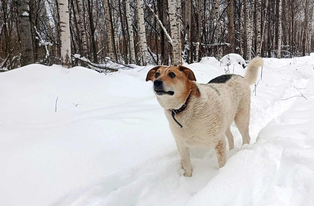 И Туся с нами была полностью солидарна, судя по выражению мордахи