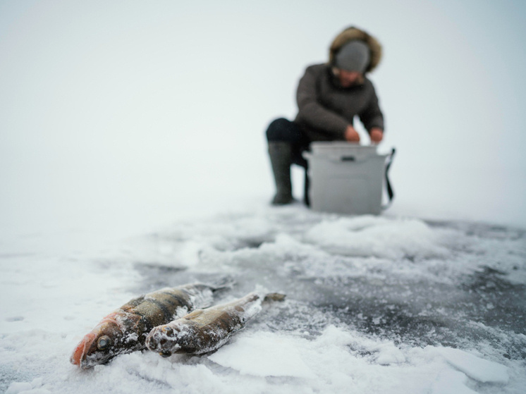     Фото: ru.freepik.com