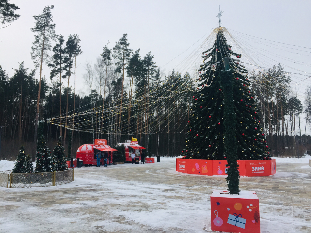 У катка в парке Малевича. Фото автора 