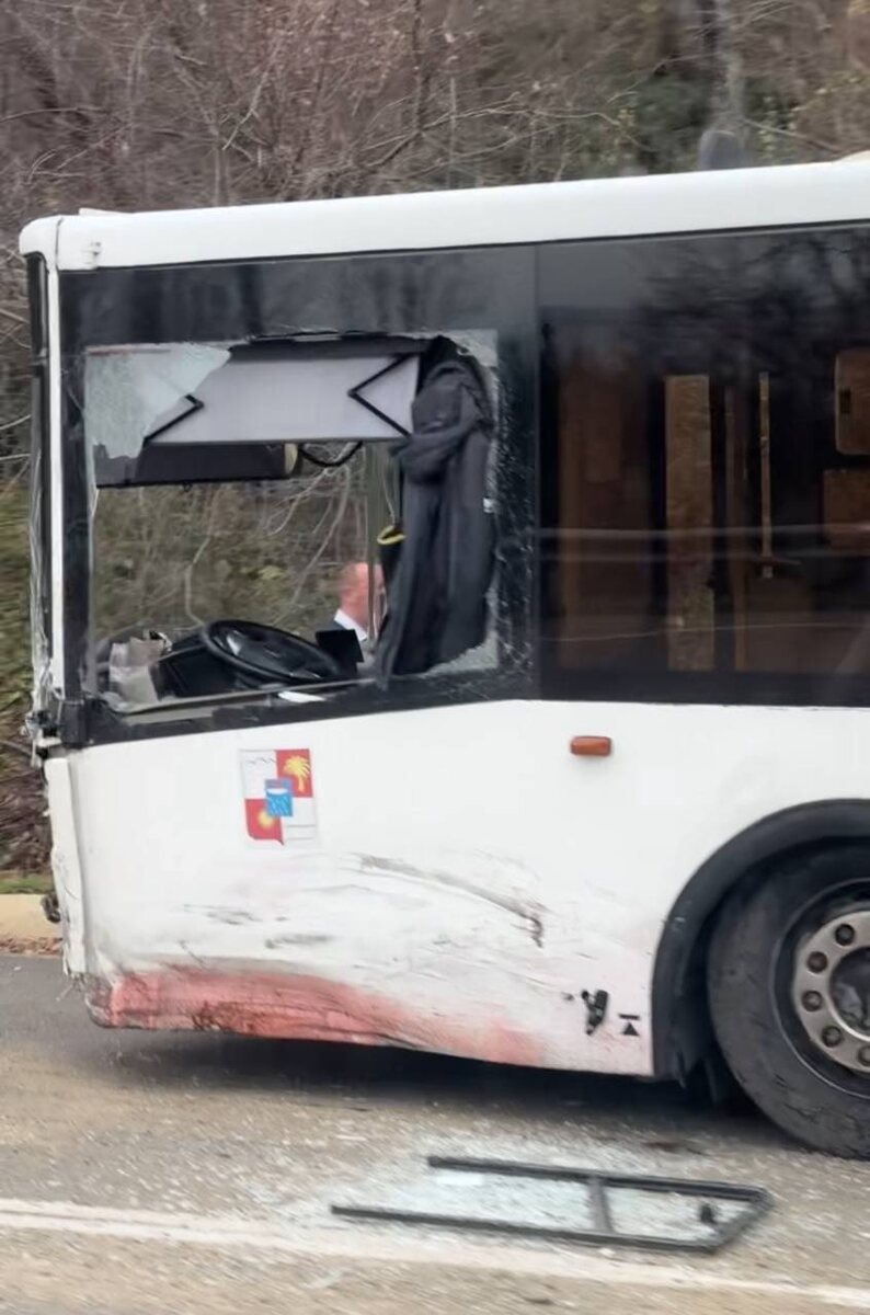    Фото: телеграм-канал ЧП Сочи