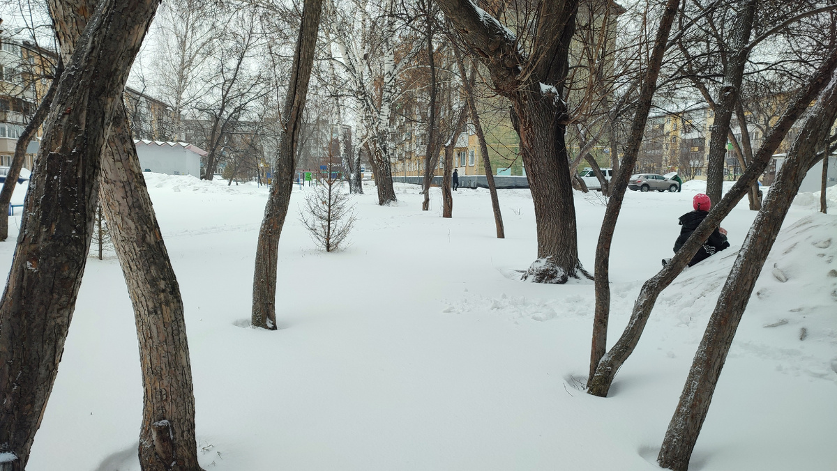 Нетоптанные дорожки