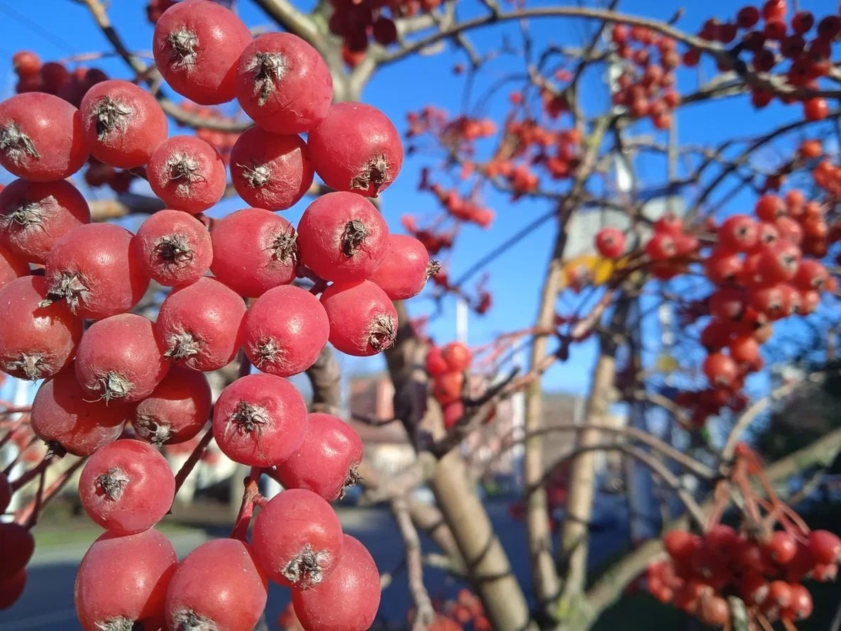   ГТРК "Ставрополье"