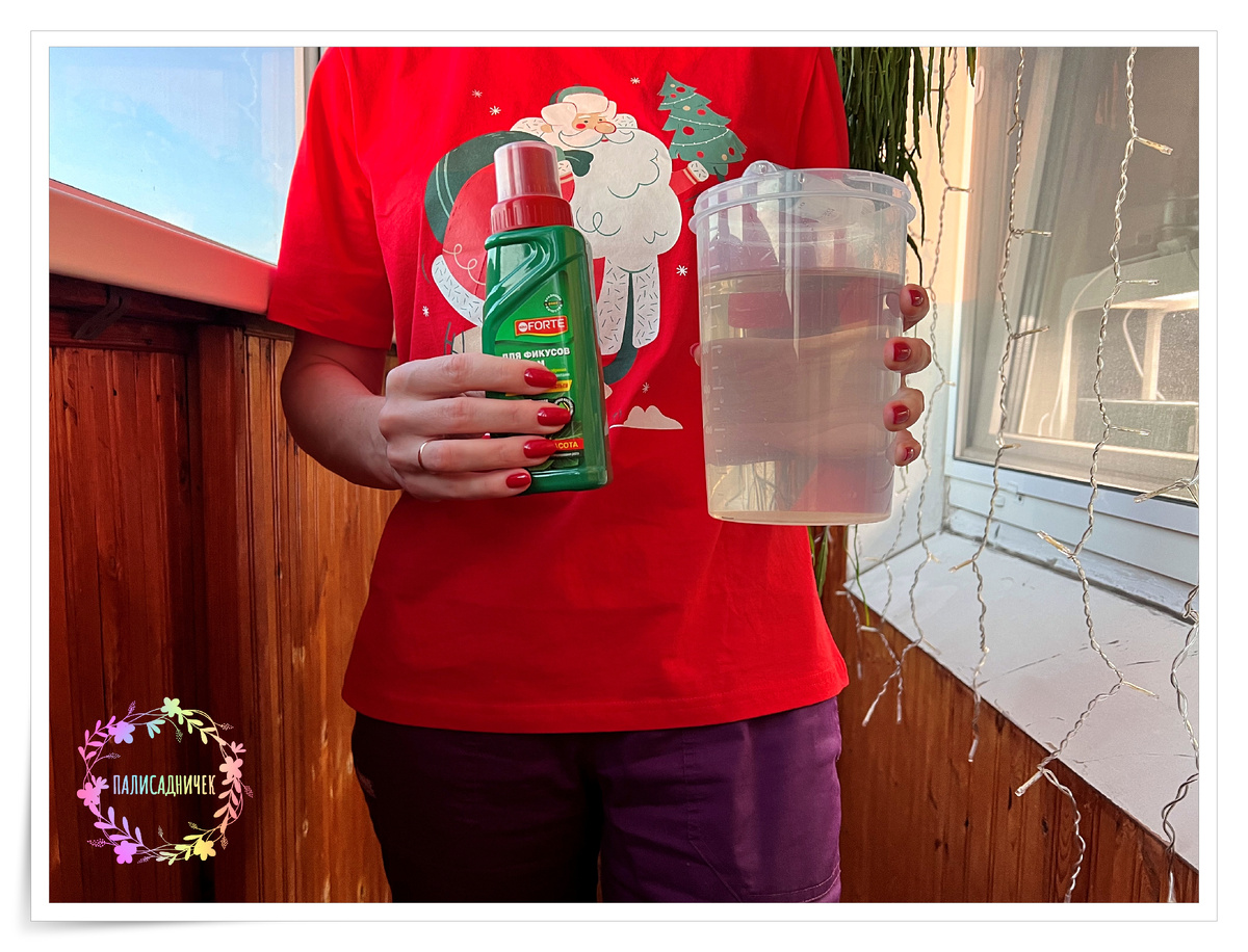 С Новым годом, да 😂🎄🎊