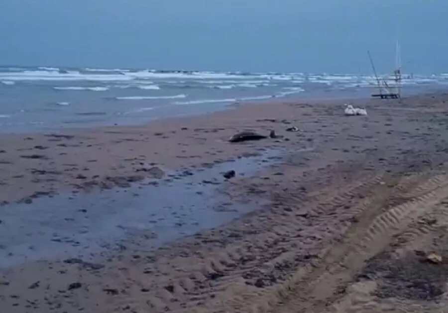 Скрин с видео.
