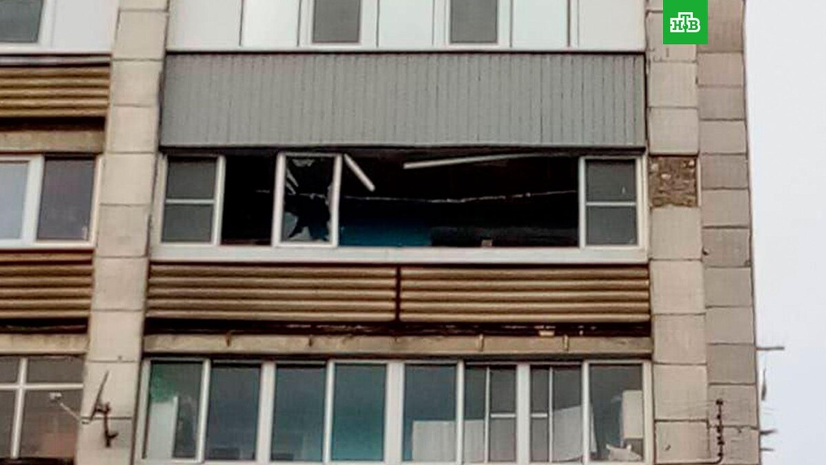    Фото: petrin_vrn / t.me