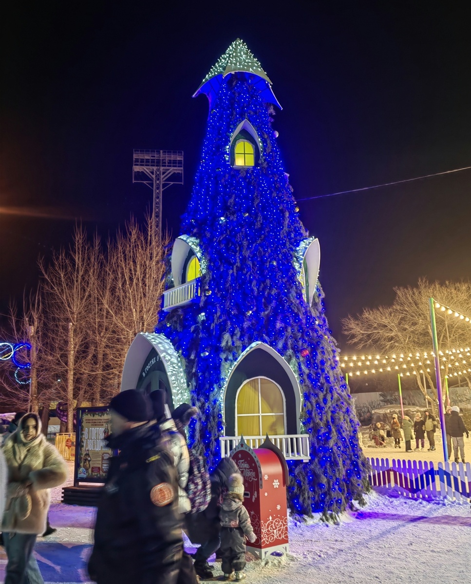 ёлко- домик. Можно войти внутрь.