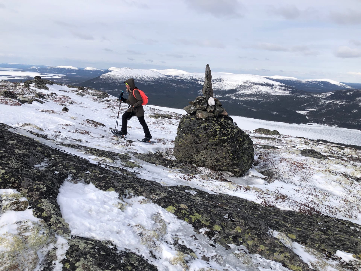 Вид на Домашние тундры с соседних Колвицких гор