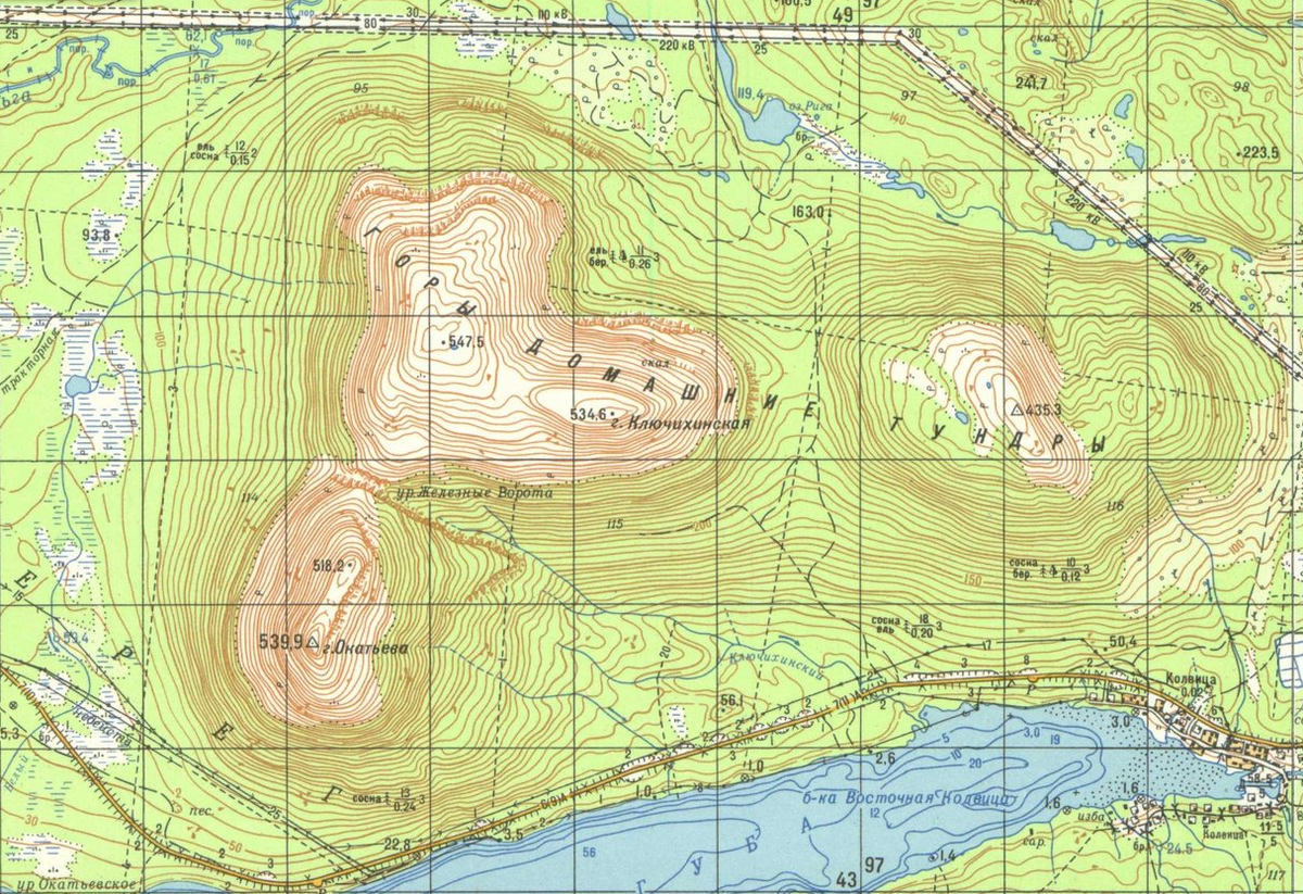 Домашние тундры на топографической карте
