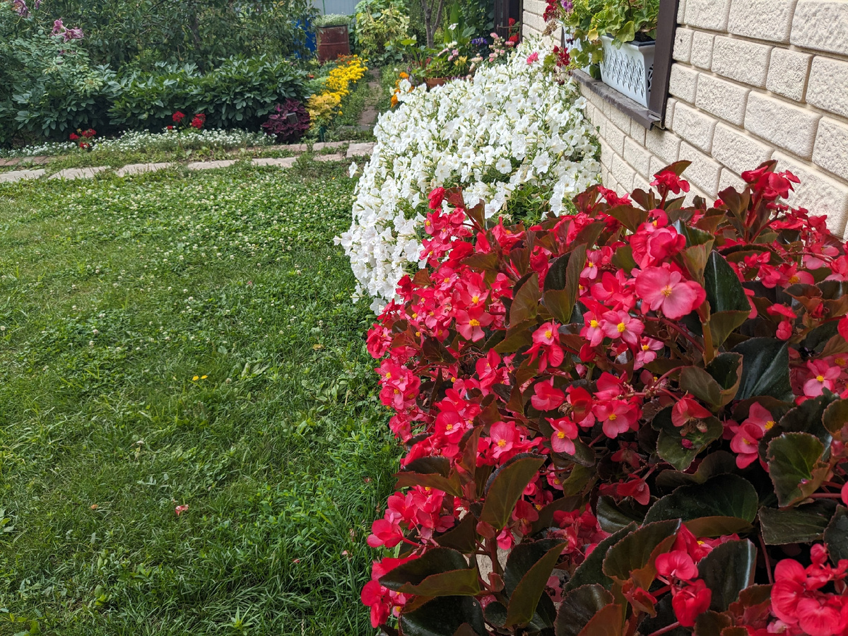 Вид на бочки, которые меня раздражают