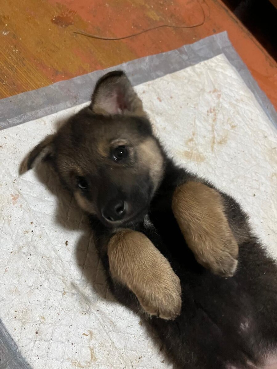 Лия, когда была совсем малышкой