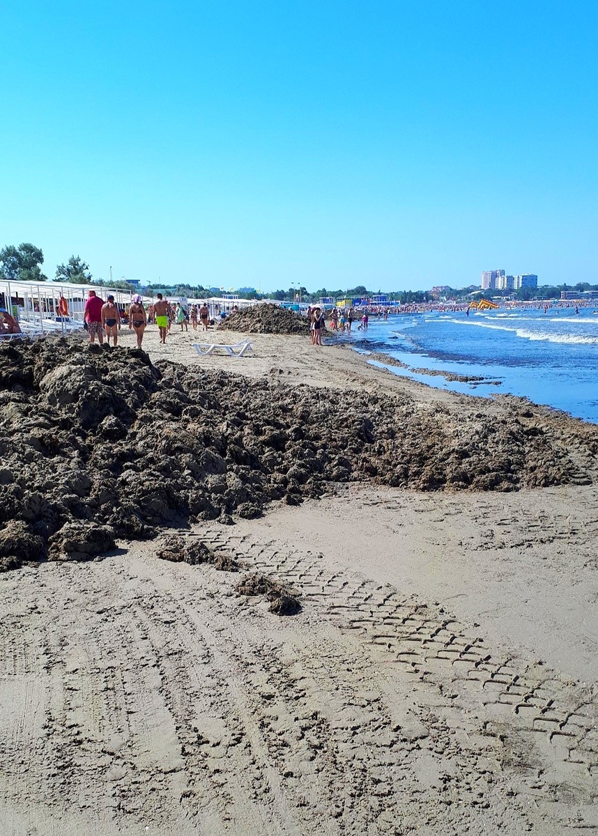 Вот таким был один из пляжей Анапы до выброса мазута.