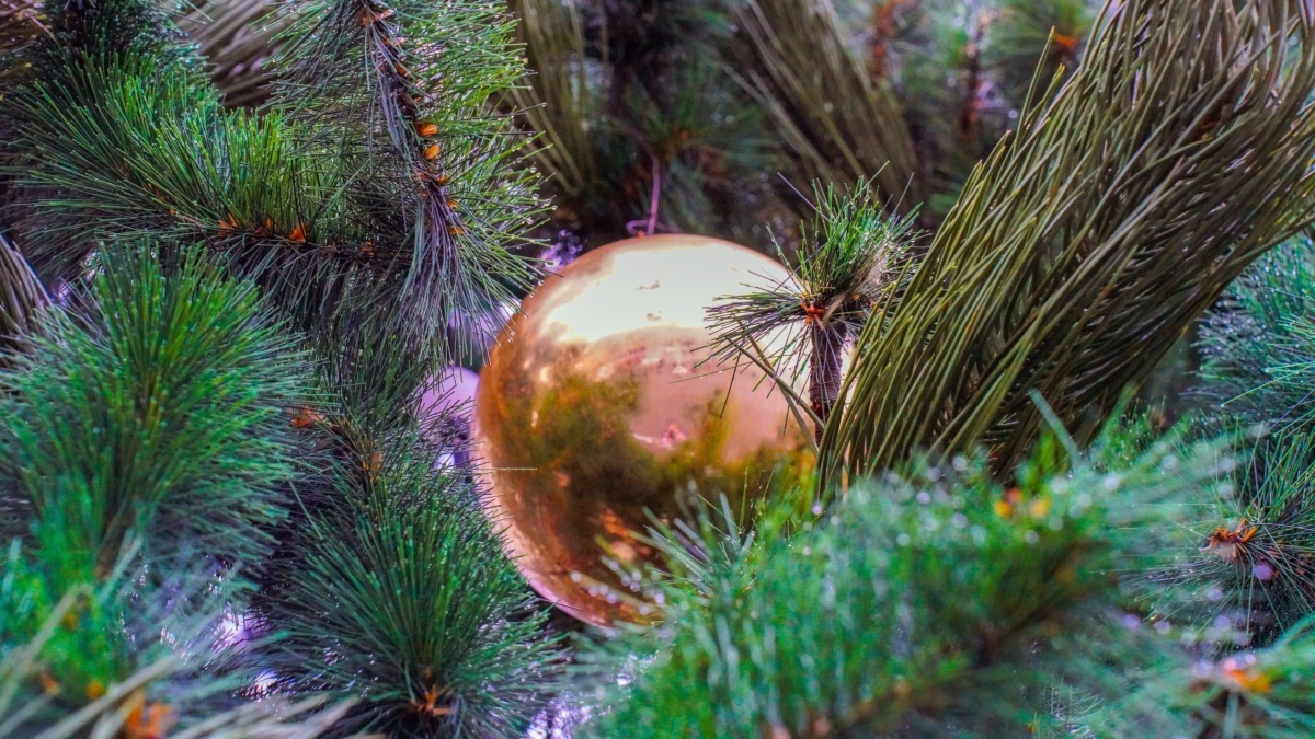 Светлана Мулыкина📷
