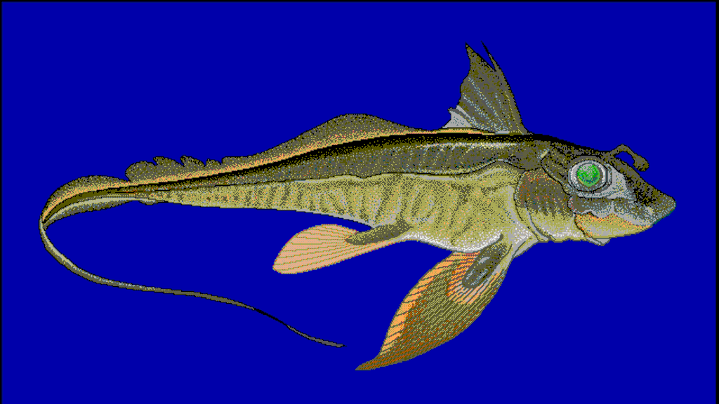 Нельзя сказать, что за это время они сильно изменились.