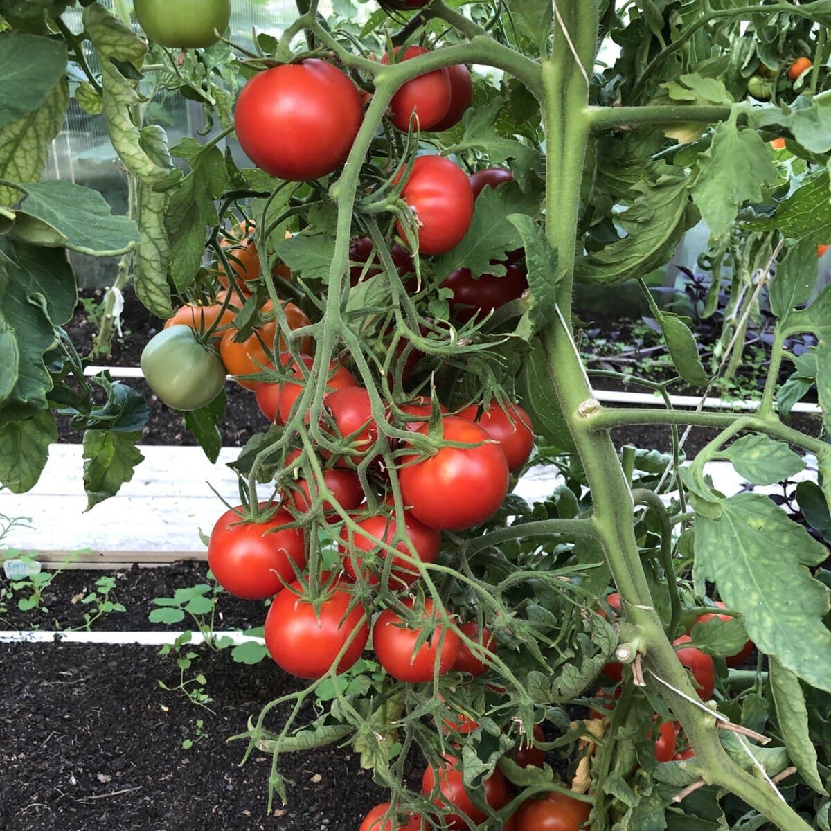 Фото из личного архива