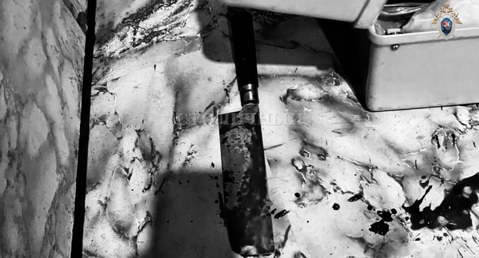    Пресс-служба Следственного комитета