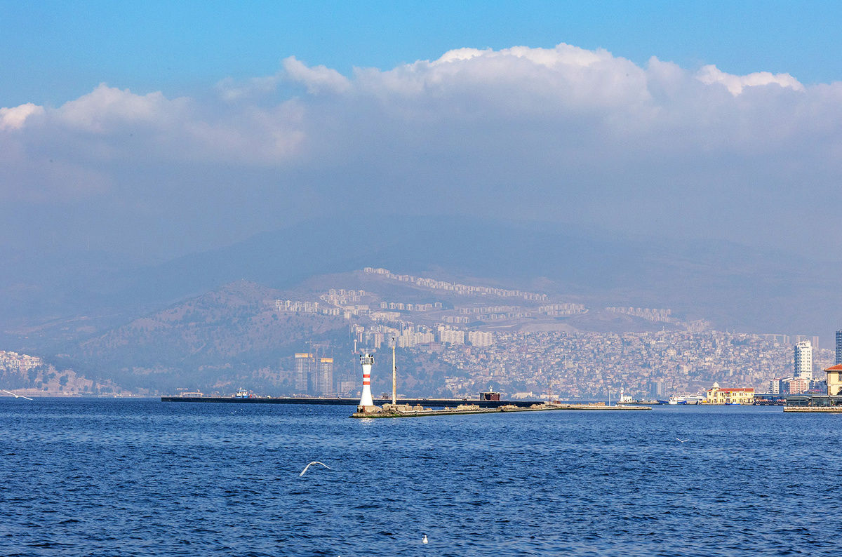    Светлана Парфенова