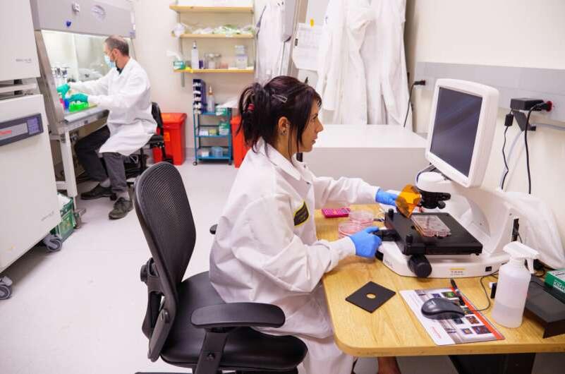 Первый автор статьи Джулия Паскези в лаборатории Университета Колорадо в Боулдере. Автор: CU Boulder.  https://scx1.b-cdn.net/csz/news/800a/2024/a-dial-for-tuning-the.jpg  https://medicalxpress.com/news/2024-12-immune-tuning-dial-covid-sicker.html 