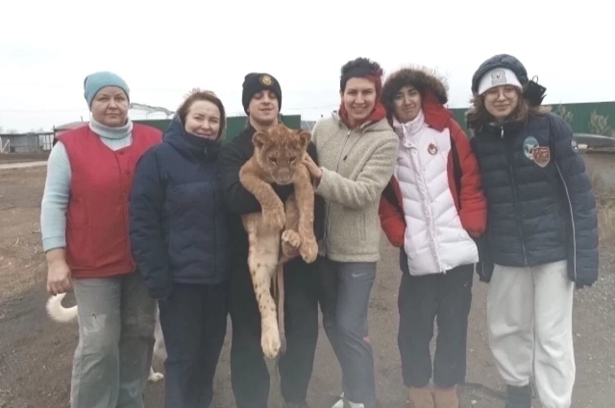    Олимпийская чемпионка Татьяна Лебедева выгуляла львицу под Волгоградом