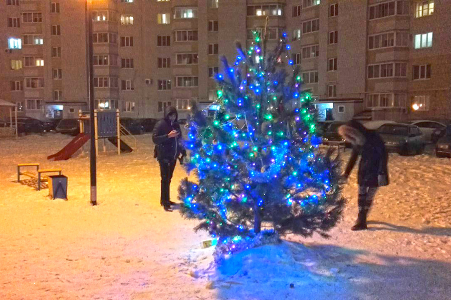 Источник: https://sibdvor.org/wp-content/uploads/2021/12/dvor_01.jpg