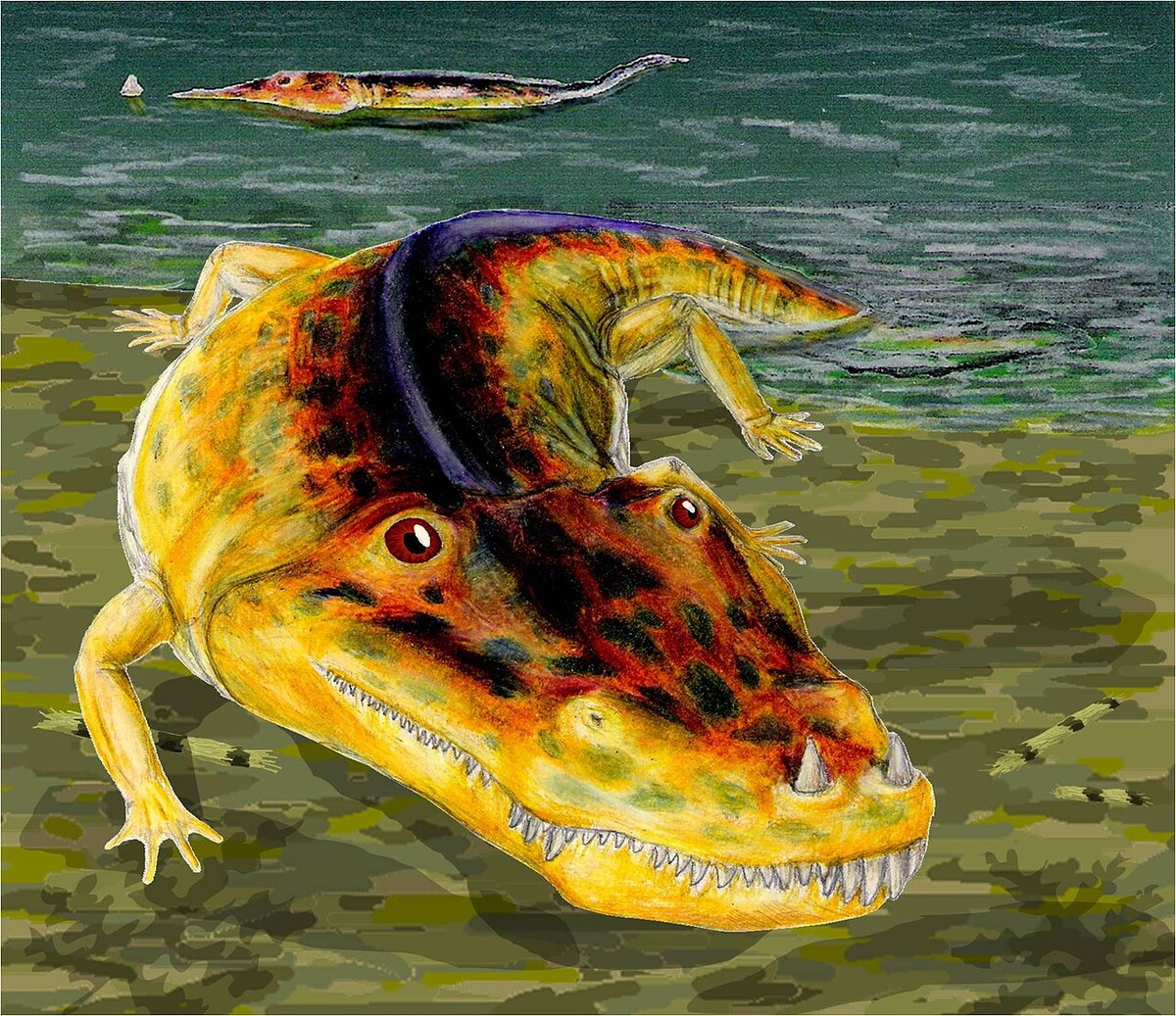 Нигерпетон иллюстрация.