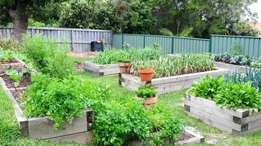 Результат преображения участка за два сезона: от заброшенной территории к организованному пространству