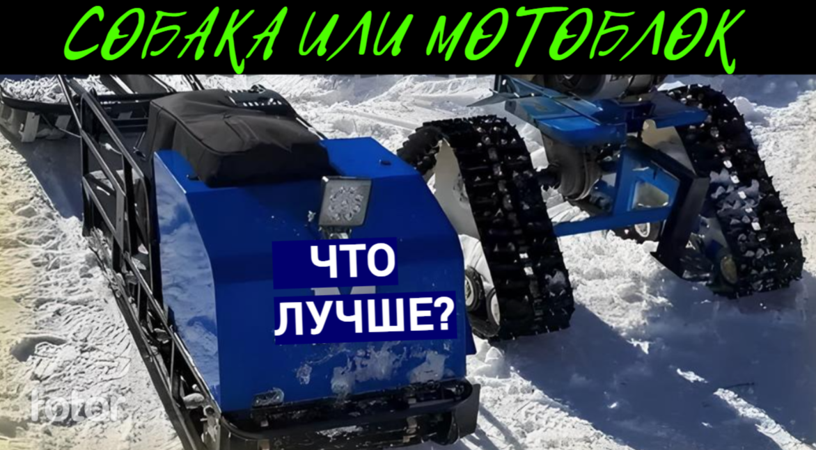 фото источник интернет