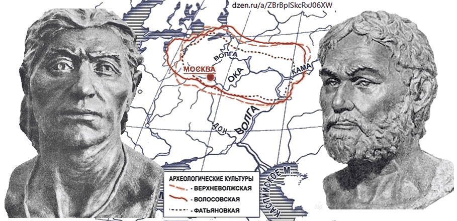Скульптурные портреты «верхневолжца» и «волосовца». Реконструкции по методу М. М. Герасимова
