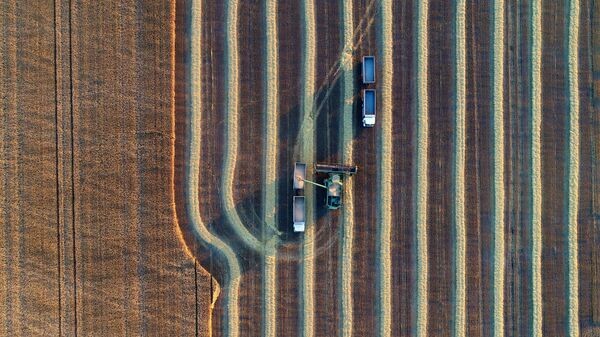    © Sputnik / Илья Наймушин