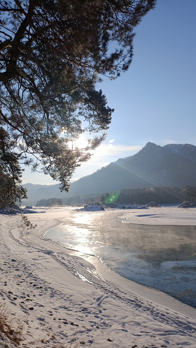 Катунь, Алтай