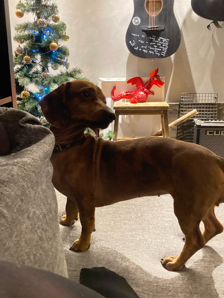 В прошлом году