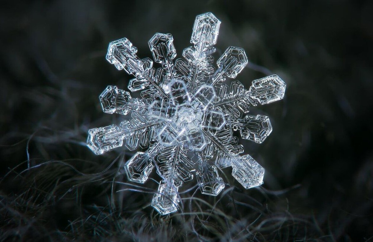    Снежинка под микроскопом. Источник фотографии: Business Insider
