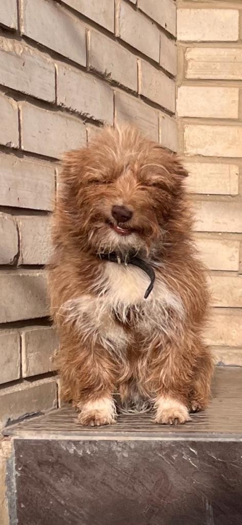 Жужетта (она так прикалывается)